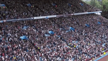 Premier League Football GIF by Aston Villa FC