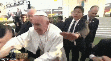 Pope Francis GIF - Find & Share on GIPHY