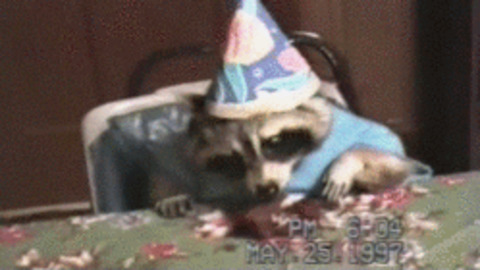 Happy Birthday Gif Find Share On Giphy