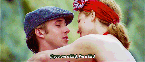 if you're a bird, i'm a bird the notebook gif