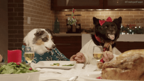 Dining GIFs - Find & Share on GIPHY