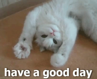 Have A Good Day GIF - Find & Share on GIPHY