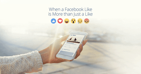 social media, facebook, like, importância de um like, curiosidade