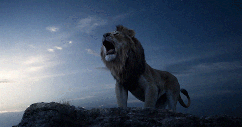 The Lion King Roar GIF by Walt Disney Studios - Find & Share on GIPHY