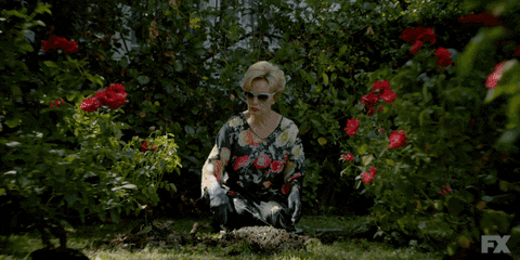 American Horror Story Gardening GIF by AHS - Find & Share on GIPHY