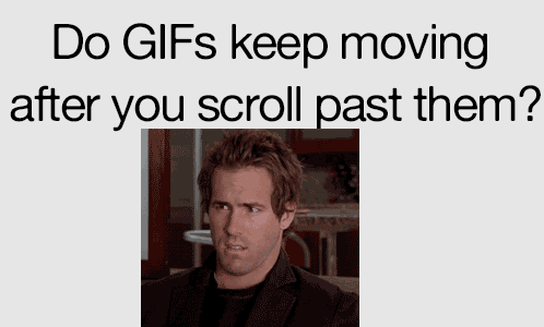 Image result for gifs of people looking dumb