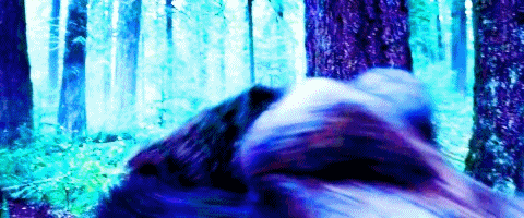The Revenant GIF - Find & Share on GIPHY