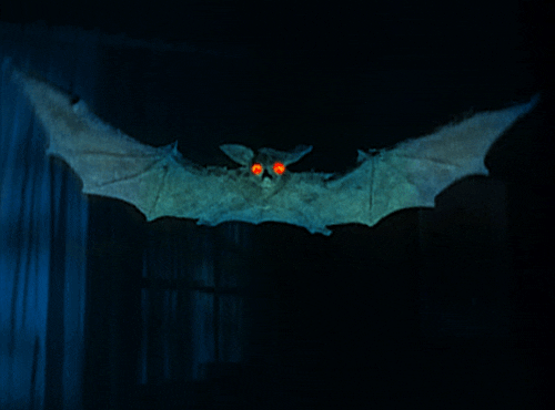 bat signal animated animated gif