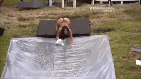 None animated GIF