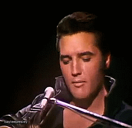 Elvis Presley GIF - Find & Share on GIPHY
