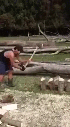 coupe du bois bucheron