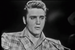 Elvis Presley actores que lo podrían interpretar