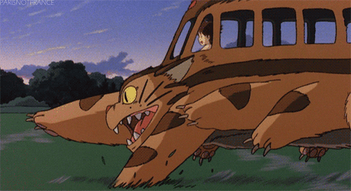 Image result for cat bus gif