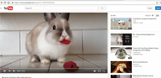 cute video to gif converter torrent