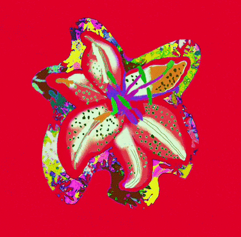 flower art gif