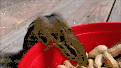 httpswwwyoutubecomwatchvkmmt59v3xpa