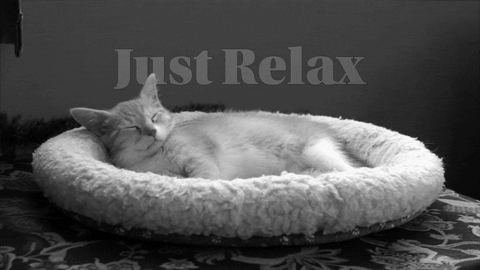 Just Relax Cat GIF