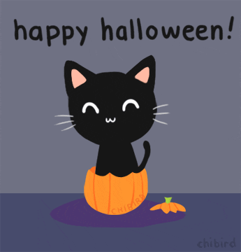 Resultado de imagem para happy Halloween cat gif