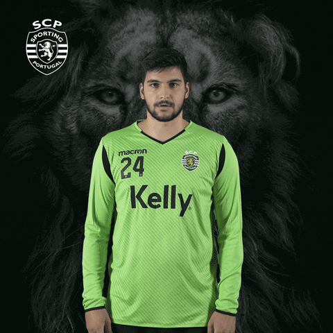 Andebol GIF by Sporting CP