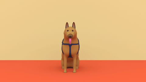 Happy Dog GIF by alperdurmaz