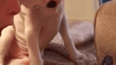 Left Right best Gif