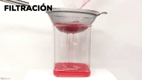 Pasos Extracción Adn GIF - Find & Share on GIPHY