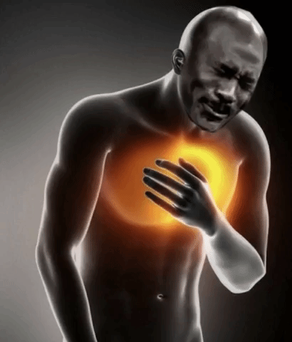 giphy.gif