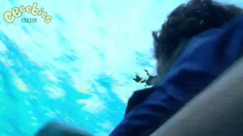 No Way Lol GIF by CBeebies HQ - Find & Share on GIPHY