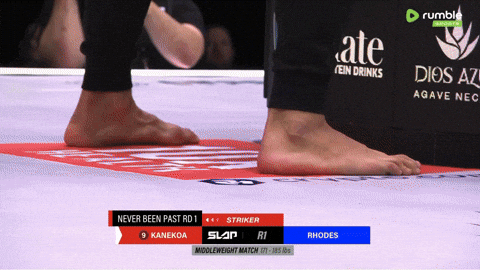 giphy.gif