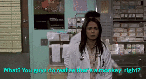 Monkey Neela GIF