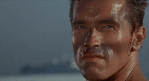 Arnold Schwarzenegger No GIF