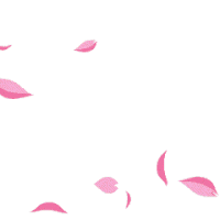Petals GIF - Find & Share on GIPHY