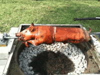 200w.gif
