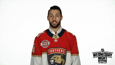 Florida Panthers Hockey GIF by NHL on NBC Sports