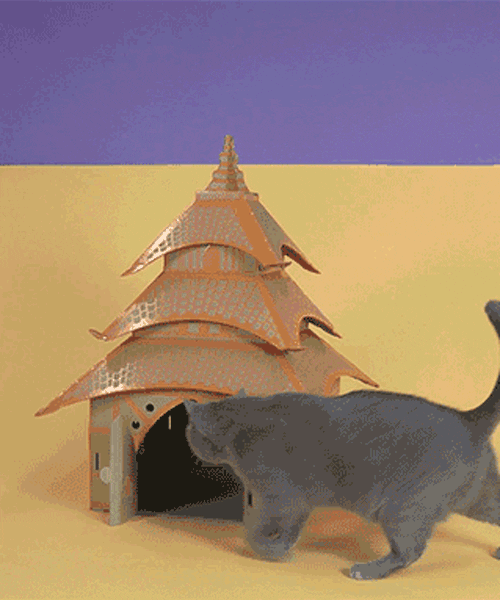 Cardboard GIF Find & Share on GIPHY