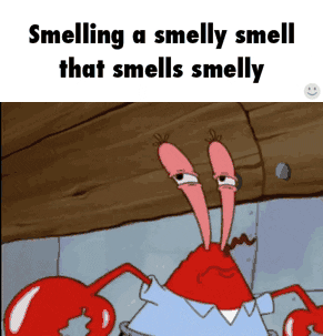 That Smelly Smell