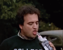 Animal House Drinking GIF - Find & Share on GIPHY