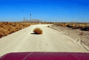 Tumbleweed GIF - Find & Share on GIPHY