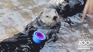 nasa animated GIF