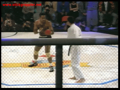 klipfolio - boxing