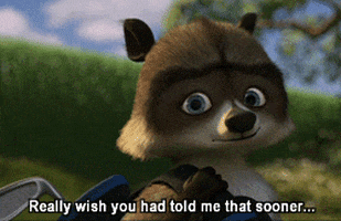 Over The Hedge Animation GIF - Find & Share on GIPHY