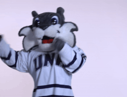 UNH Wildcat mascot dancing