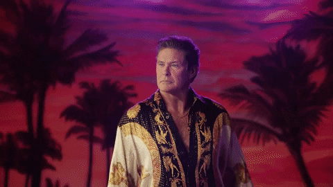 Image result for david hasselhoff gif