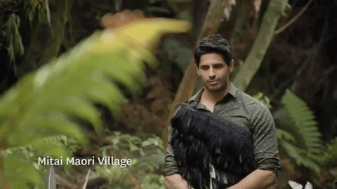 new zealand nz sidharth malhotra
