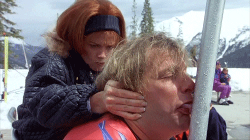 Dumb And Dumber Television GIF