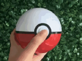 giphy.gif