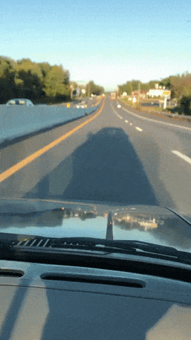 Car running along road in funny gifs