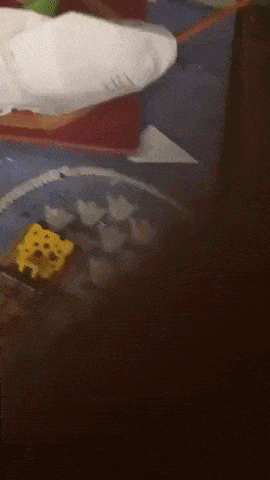 What could go wrong playing with mouse trap in WaitForIt gifs
