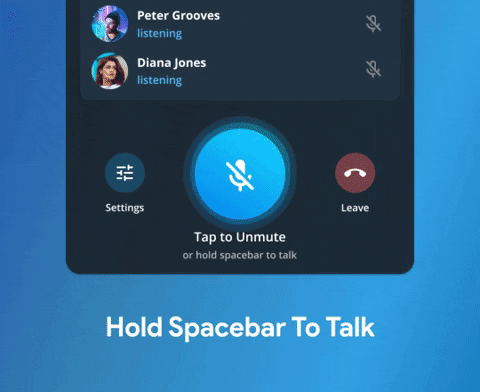 Voice chats push-to-talk