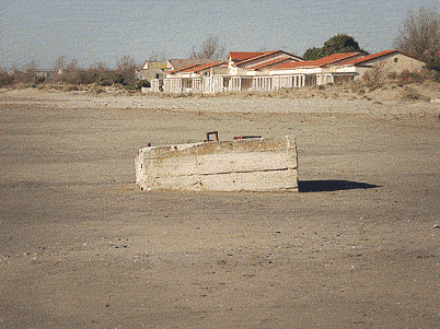 best lens for canon 80d